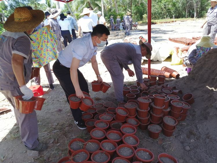 三亚旅游文化发展集团有限公司 三亚旅游文化发展集团有限公司