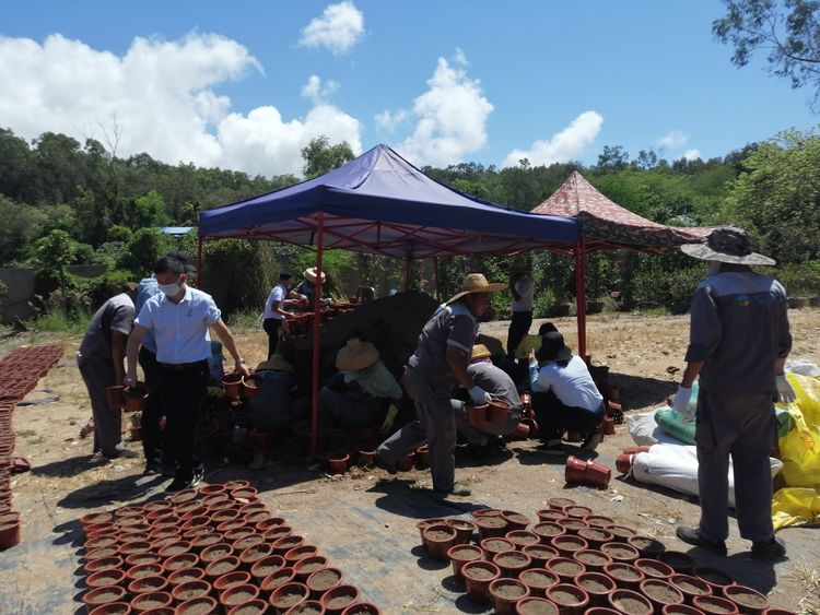 三亚旅游文化发展集团有限公司 三亚旅游文化发展集团有限公司
