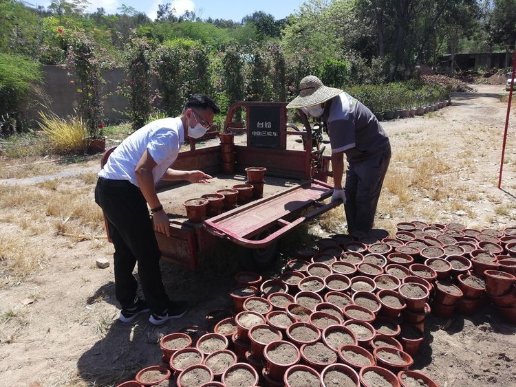 三亚旅游文化发展集团有限公司 三亚旅游文化发展集团有限公司