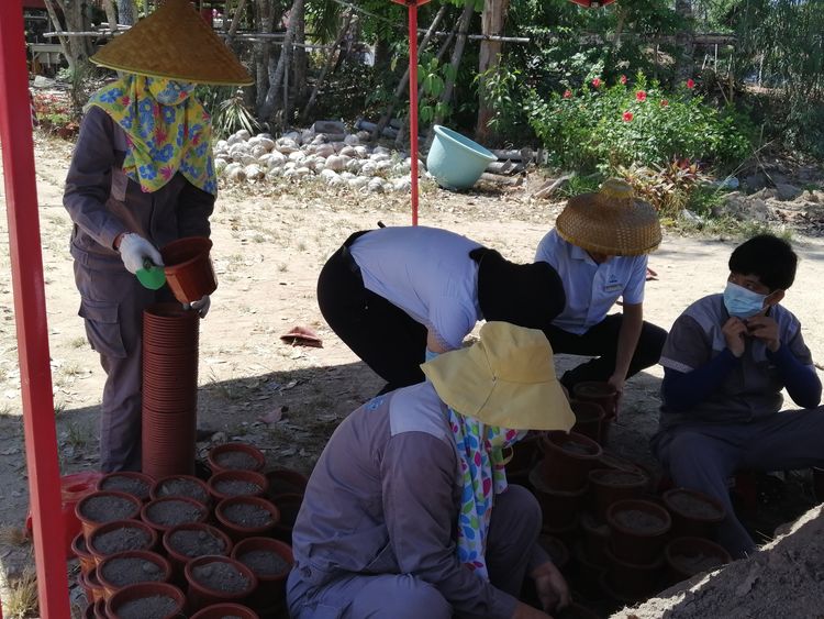 三亚旅游文化发展集团有限公司 三亚旅游文化发展集团有限公司
