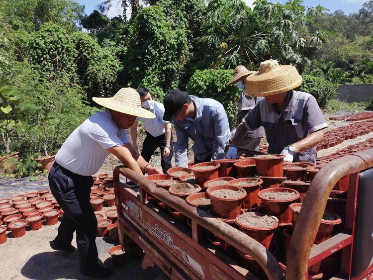 三亚旅游文化发展集团有限公司 三亚旅游文化发展集团有限公司