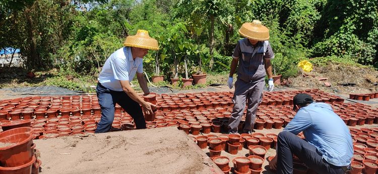 三亚旅游文化发展集团有限公司 三亚旅游文化发展集团有限公司