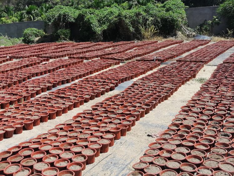 三亚旅游文化发展集团有限公司 三亚旅游文化发展集团有限公司