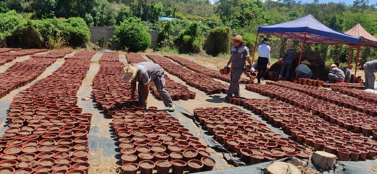 三亚旅游文化发展集团有限公司 三亚旅游文化发展集团有限公司