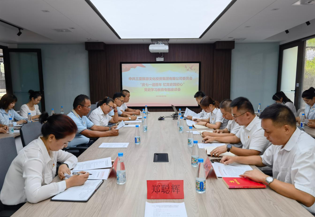 三亚旅游文化发展集团有限公司 三亚旅游文化发展集团有限公司