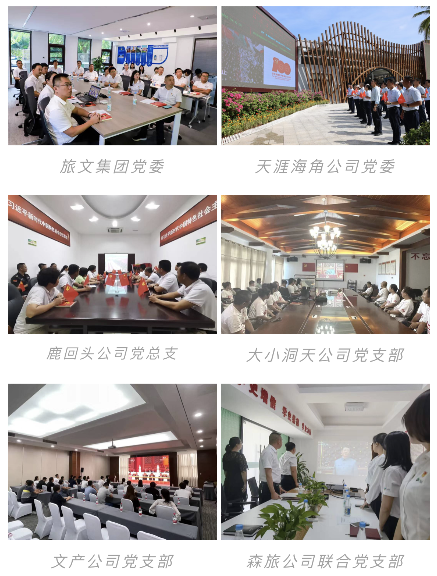 三亚旅游文化发展集团有限公司