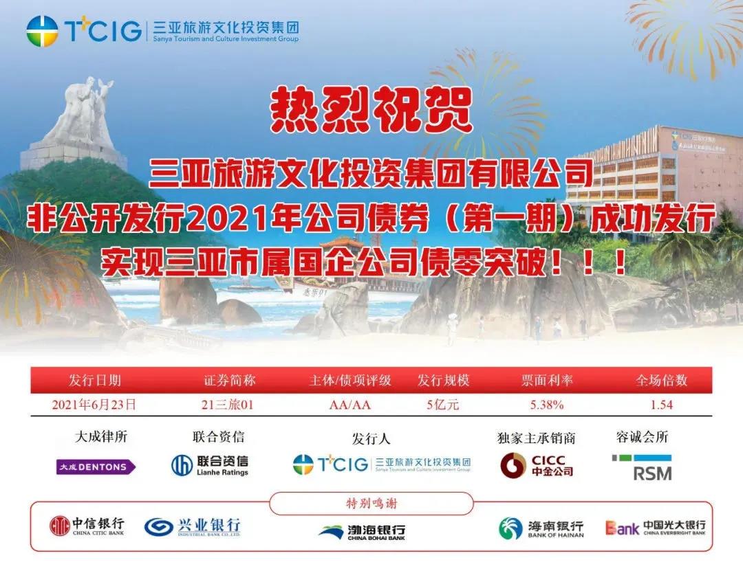 三亚旅游文化发展集团有限公司 三亚旅游文化发展集团有限公司