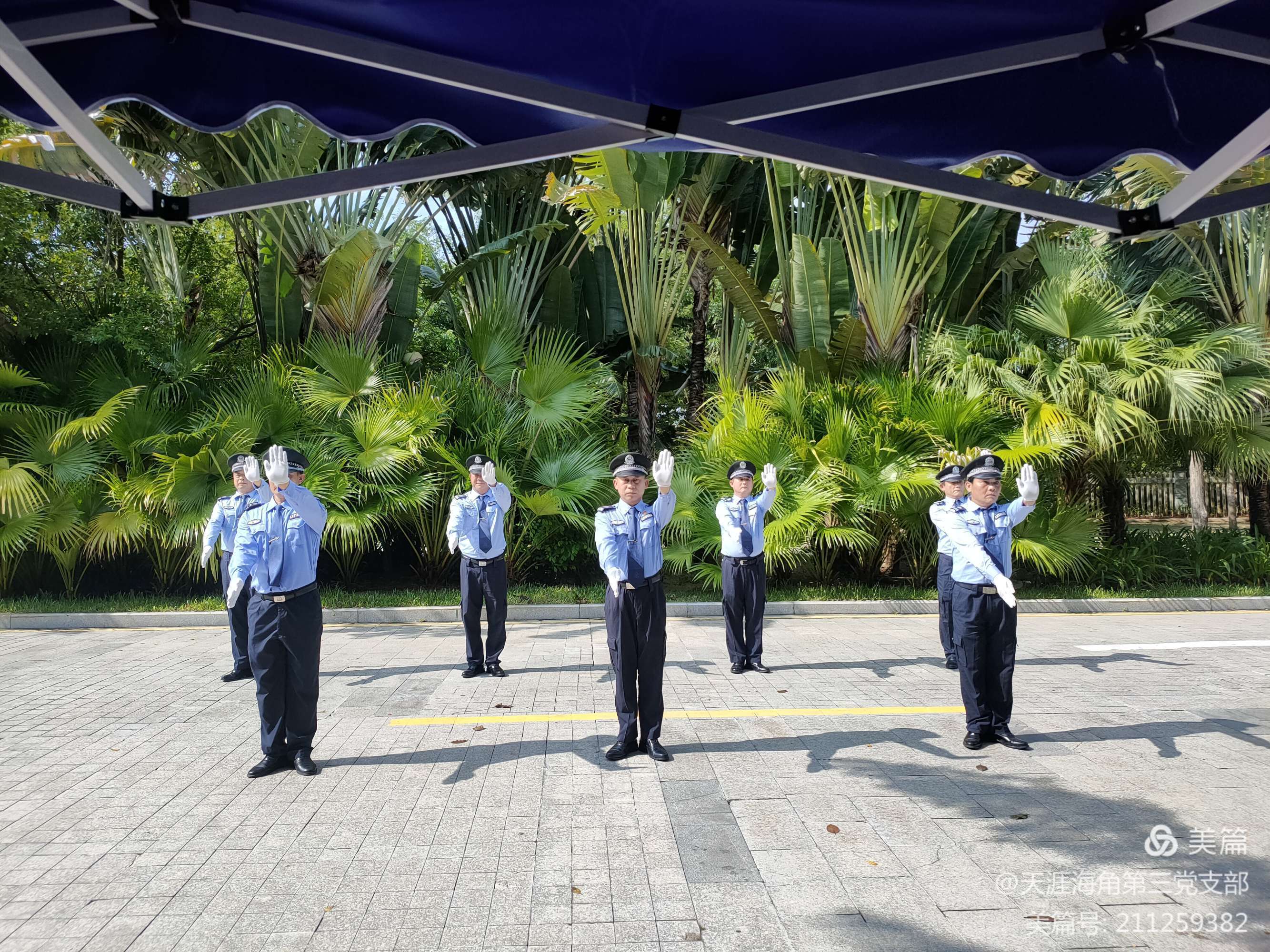 三亚旅游文化发展集团有限公司