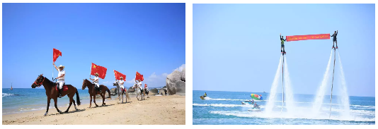 三亚旅游文化发展集团有限公司 三亚旅游文化发展集团有限公司