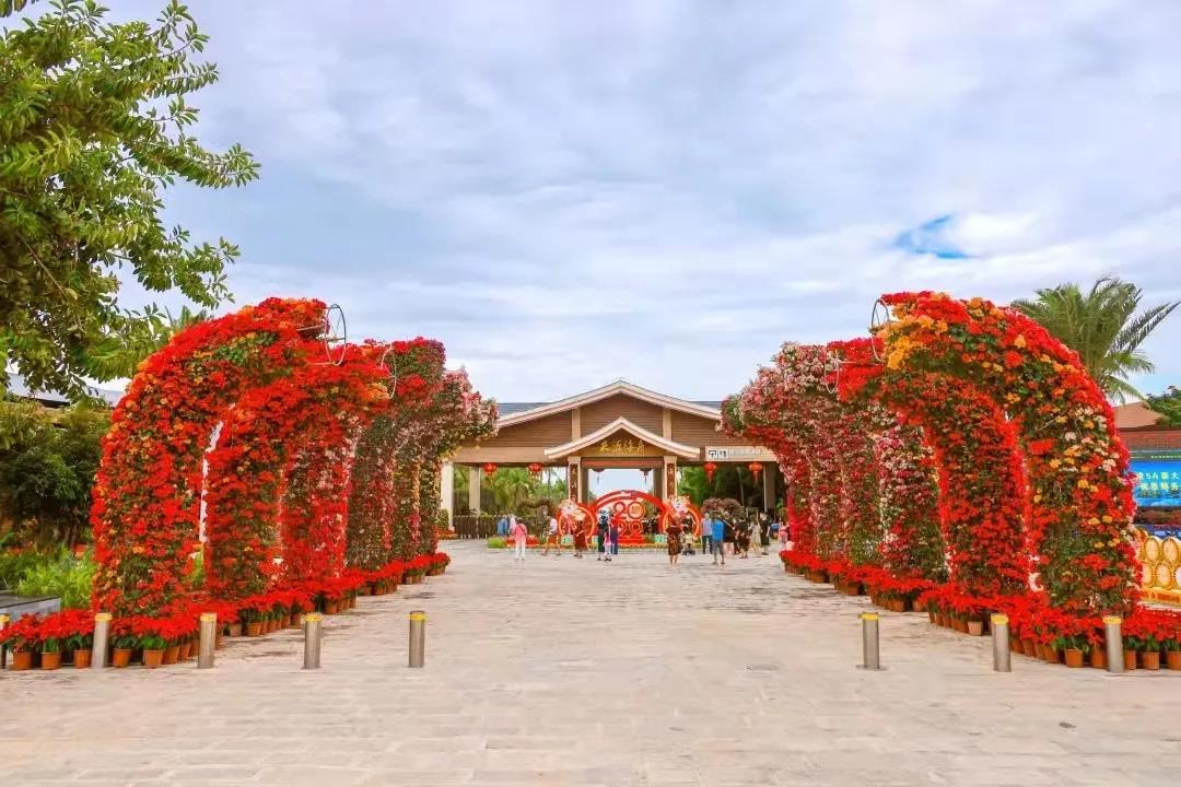 三亚旅游文化发展集团有限公司