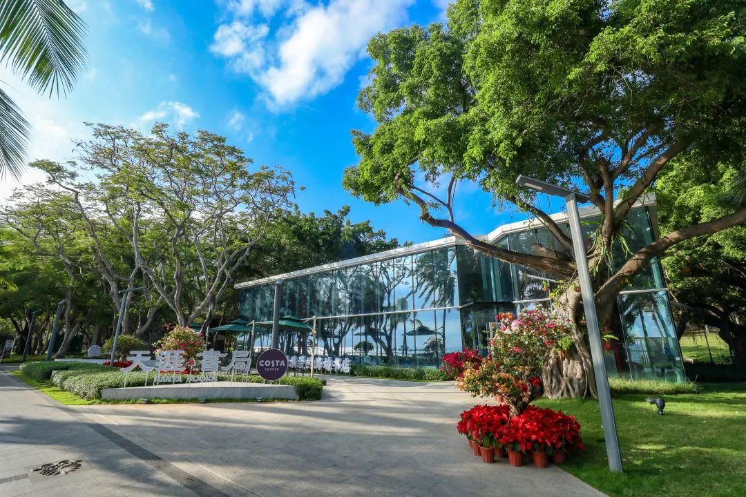 三亚旅游文化发展集团有限公司