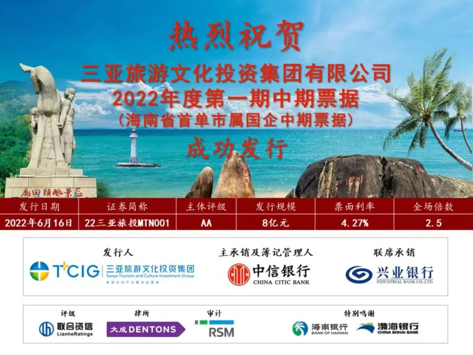 三亚旅游文化发展集团有限公司 三亚旅游文化发展集团有限公司