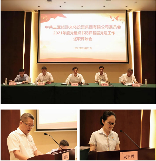 三亚旅游文化发展集团有限公司 三亚旅游文化发展集团有限公司