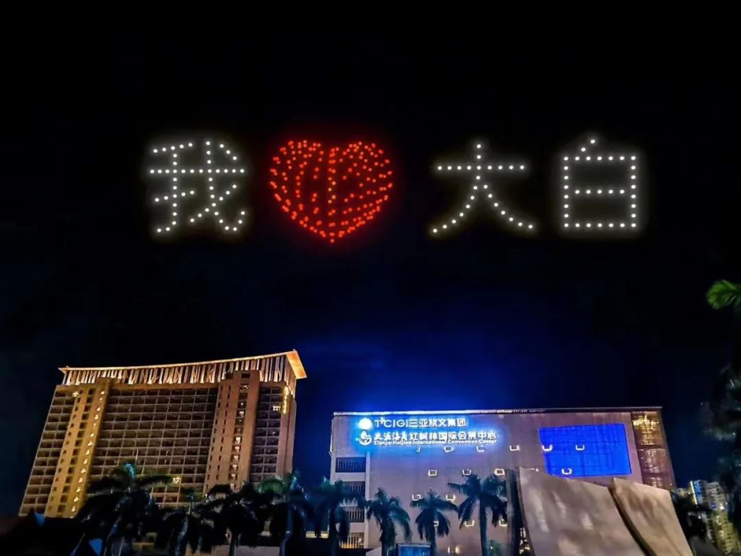 三亚旅游文化发展集团有限公司 三亚旅游文化发展集团有限公司