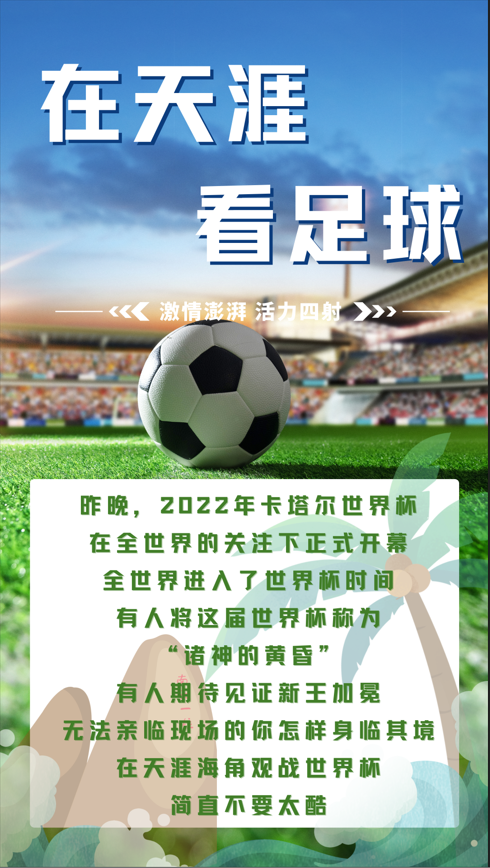 三亚旅游文化发展集团有限公司