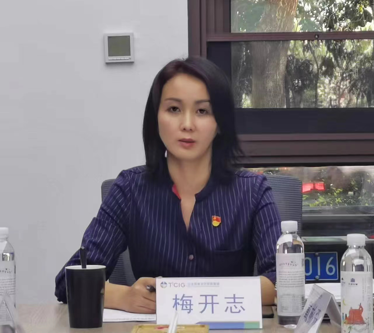 三亚旅游文化发展集团有限公司