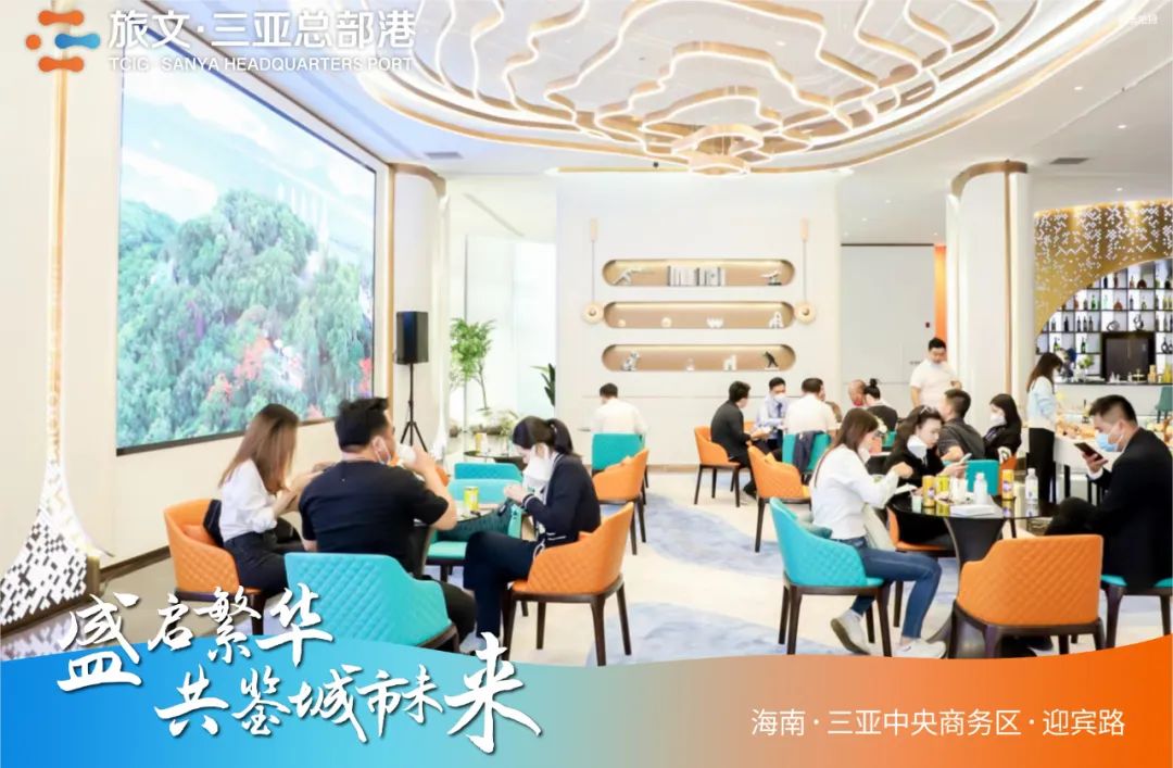 三亚旅游文化发展集团有限公司