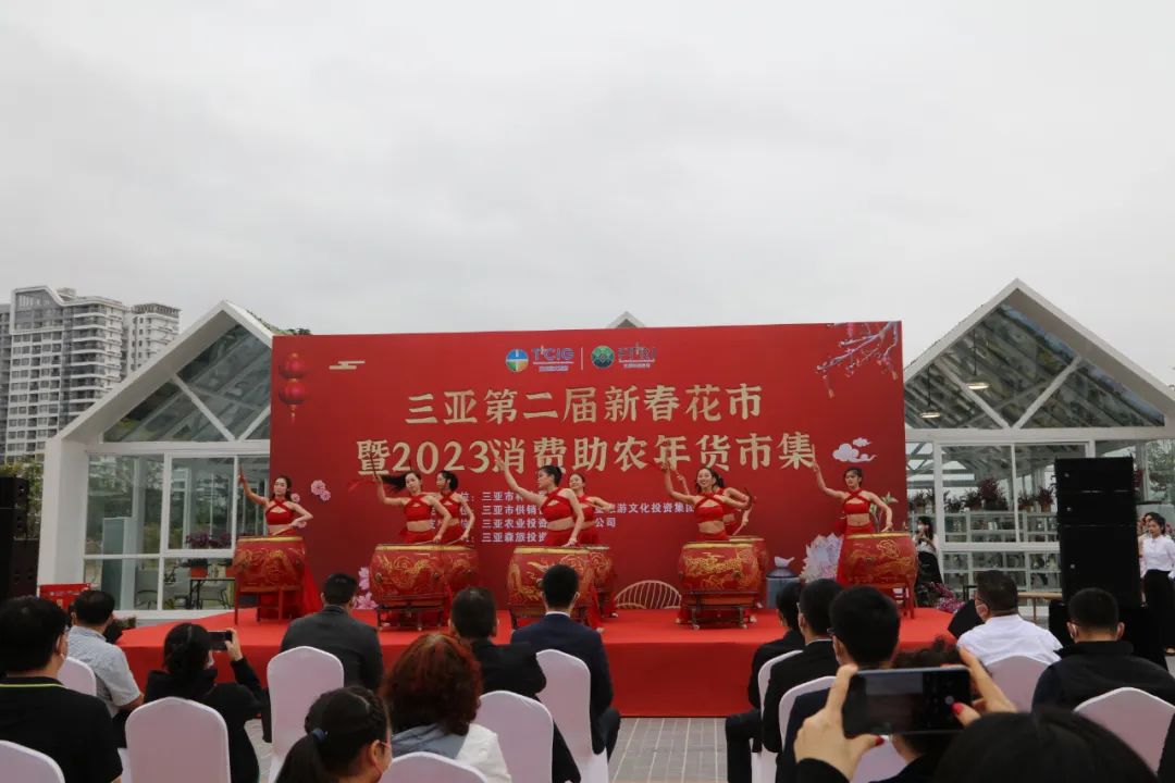 三亚旅游文化发展集团有限公司 三亚旅游文化发展集团有限公司