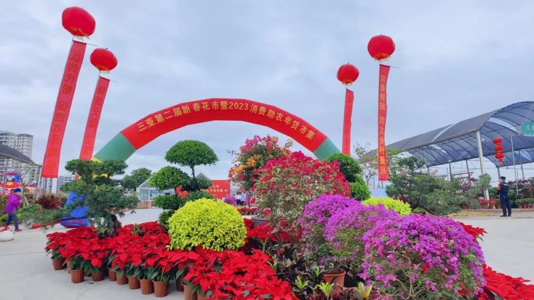 三亚旅游文化发展集团有限公司 三亚旅游文化发展集团有限公司