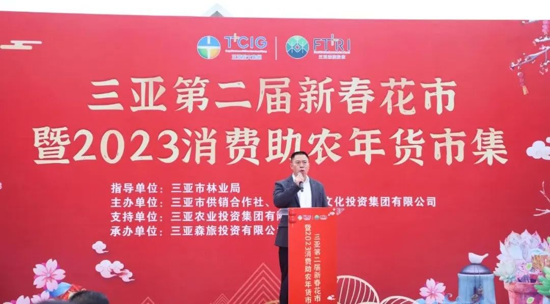 三亚旅游文化发展集团有限公司 三亚旅游文化发展集团有限公司