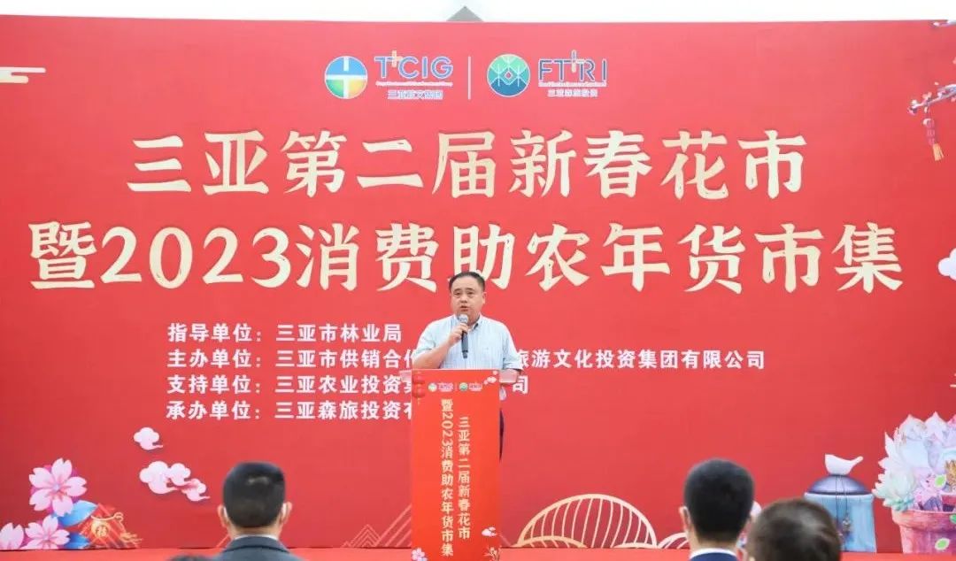 三亚旅游文化发展集团有限公司 三亚旅游文化发展集团有限公司