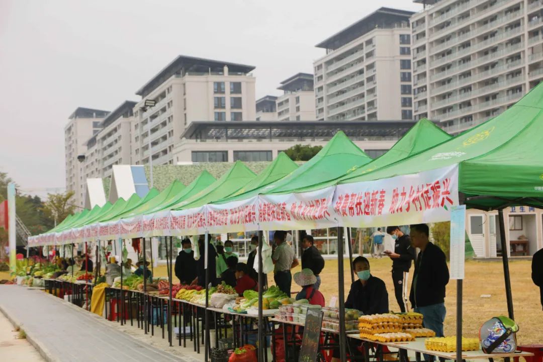 三亚旅游文化发展集团有限公司 三亚旅游文化发展集团有限公司