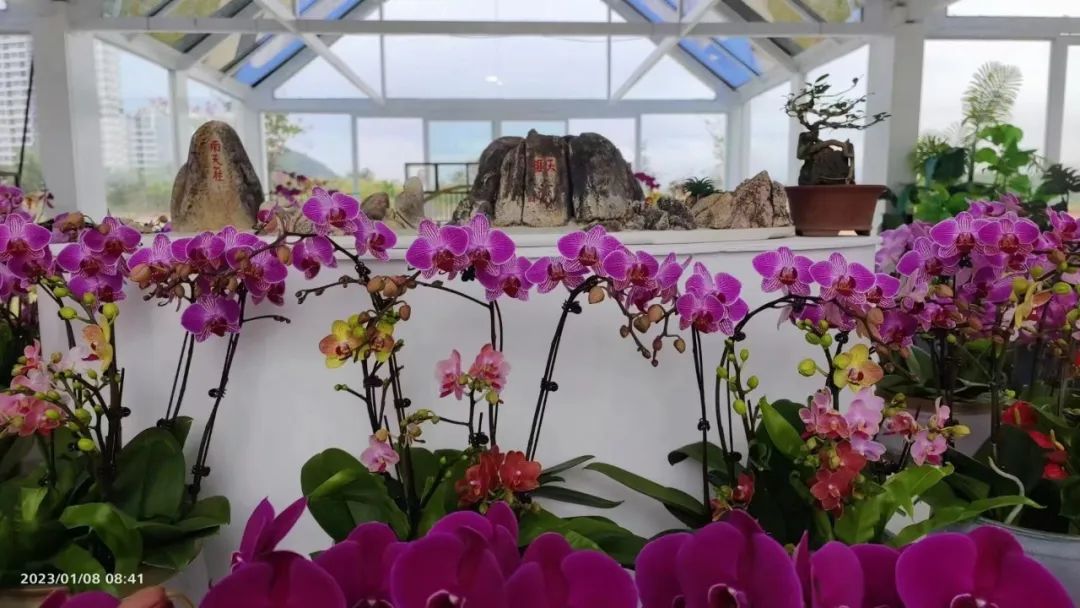 三亚旅游文化发展集团有限公司 三亚旅游文化发展集团有限公司