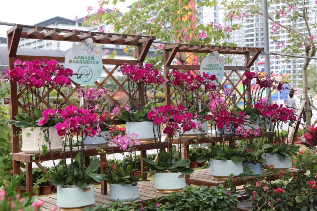 三亚旅游文化发展集团有限公司 三亚旅游文化发展集团有限公司