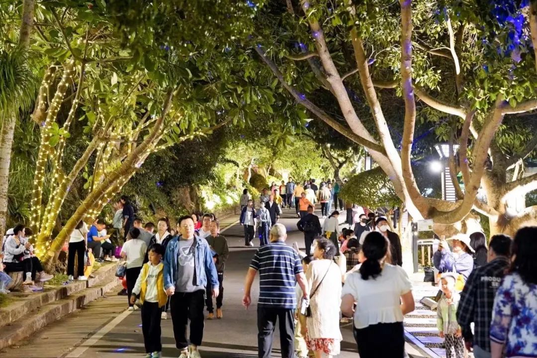 三亚旅游文化发展集团有限公司 三亚旅游文化发展集团有限公司