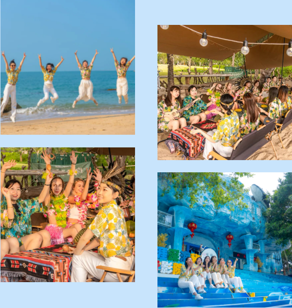 三亚旅游文化发展集团有限公司 三亚旅游文化发展集团有限公司