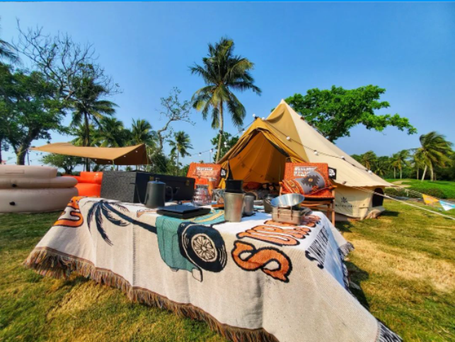 三亚旅游文化发展集团有限公司 三亚旅游文化发展集团有限公司