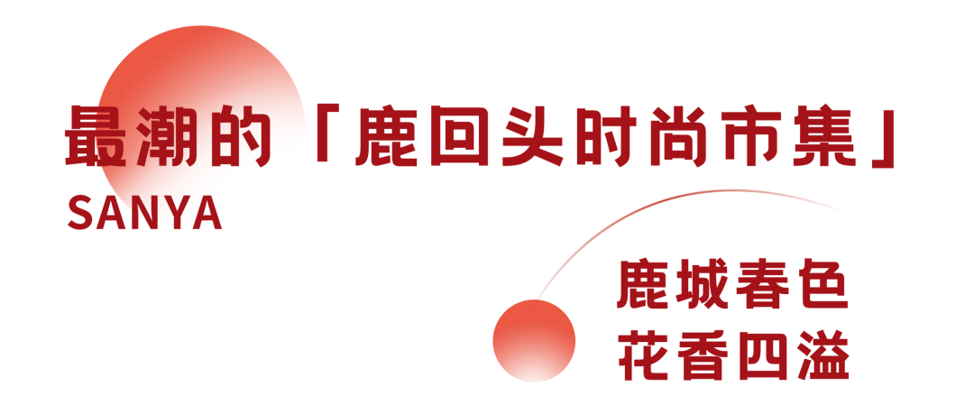 三亚旅游文化发展集团有限公司