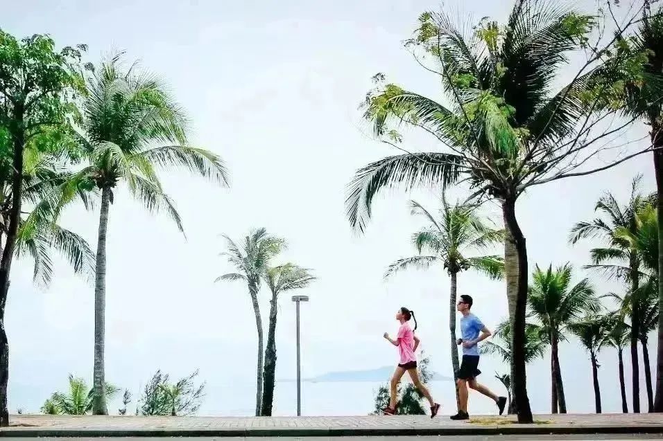 三亚旅游文化发展集团有限公司