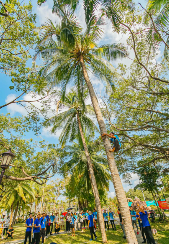 三亚旅游文化发展集团有限公司 三亚旅游文化发展集团有限公司