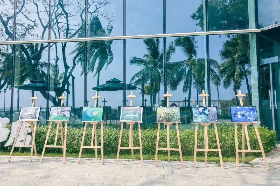 三亚旅游文化发展集团有限公司 三亚旅游文化发展集团有限公司