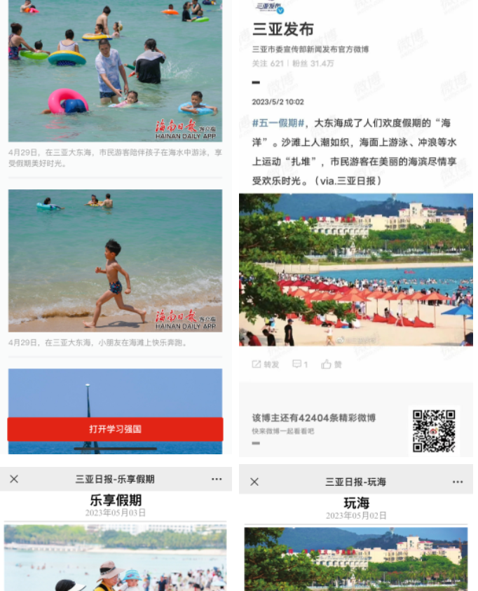 三亚旅游文化发展集团有限公司 三亚旅游文化发展集团有限公司