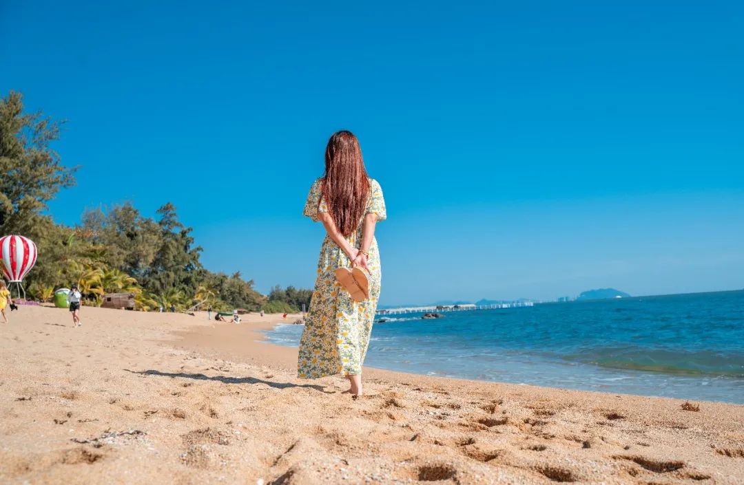 三亚旅游文化发展集团有限公司 三亚旅游文化发展集团有限公司