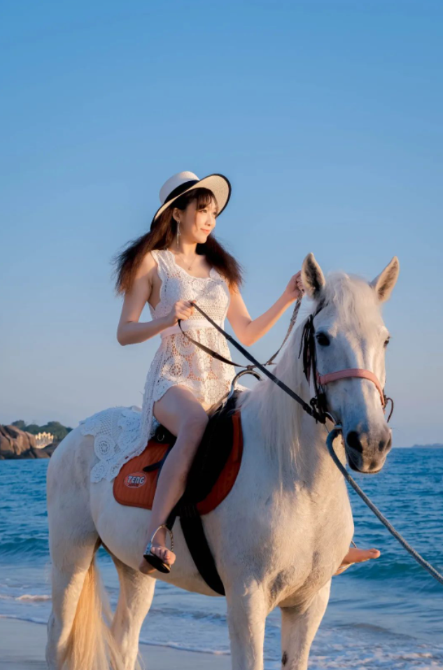 三亚旅游文化发展集团有限公司 三亚旅游文化发展集团有限公司