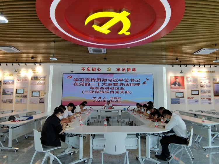 三亚旅游文化发展集团有限公司