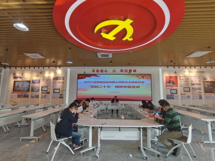 三亚旅游文化发展集团有限公司 三亚旅游文化发展集团有限公司