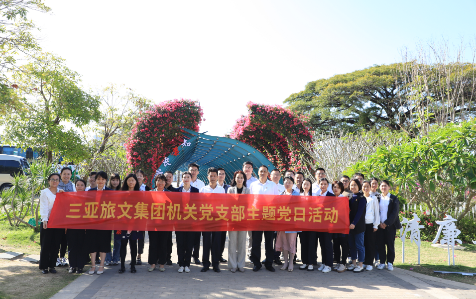 三亚旅游文化发展集团有限公司 三亚旅游文化发展集团有限公司