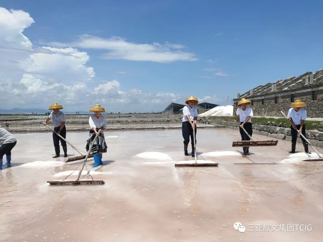三亚旅游文化发展集团有限公司