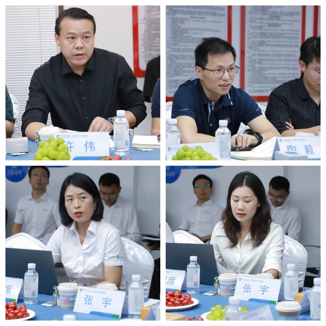 三亚旅游文化发展集团有限公司