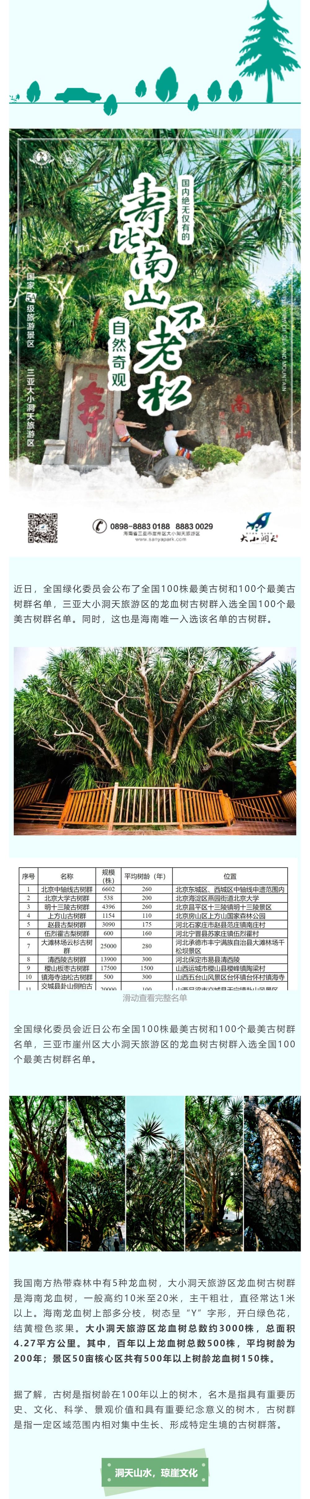 三亚旅游文化发展集团有限公司