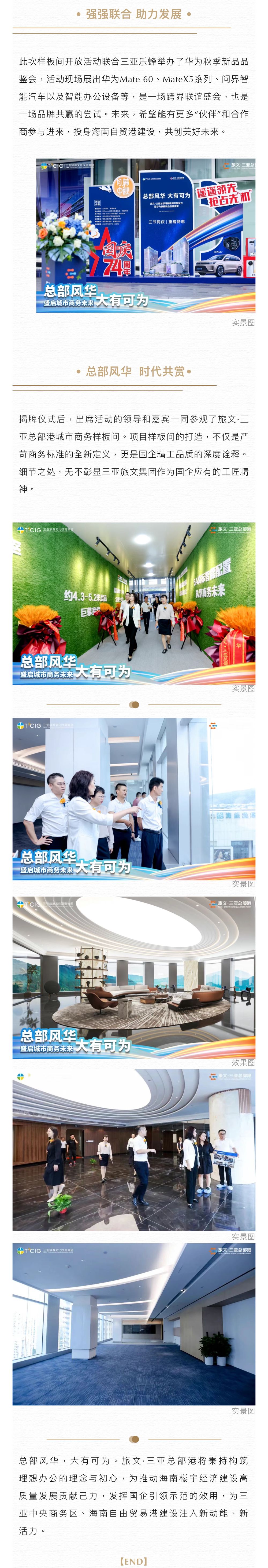 三亚旅游文化发展集团有限公司