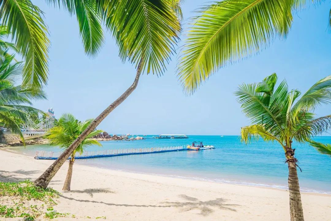 三亚旅游文化发展集团有限公司 三亚旅游文化发展集团有限公司