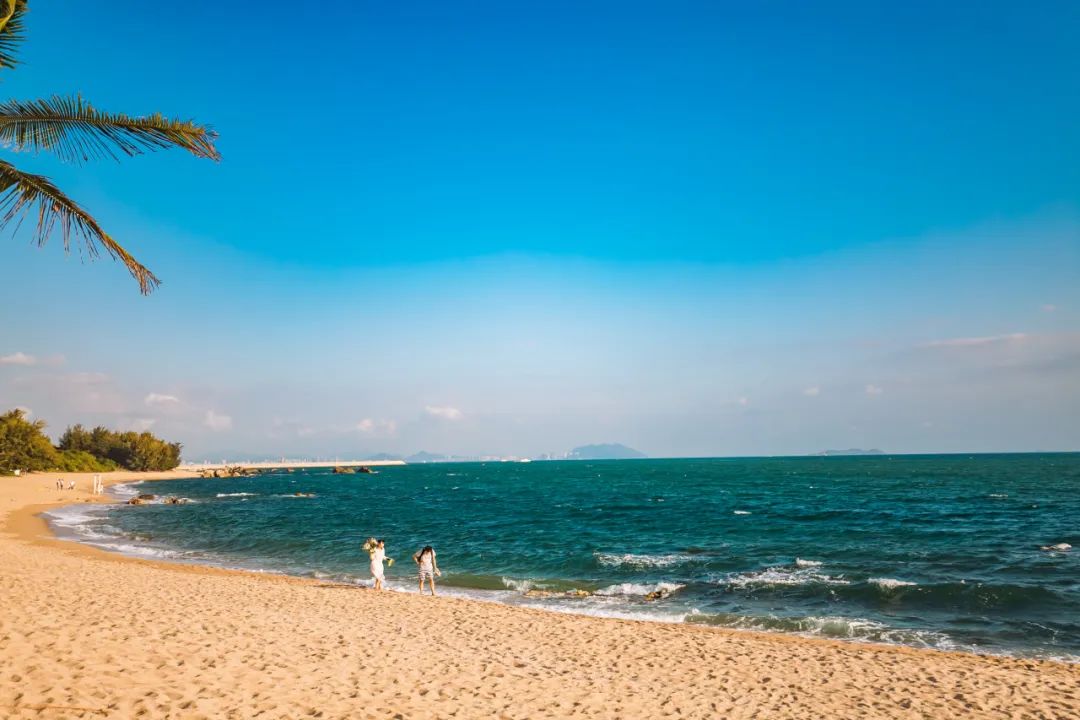 三亚旅游文化发展集团有限公司 三亚旅游文化发展集团有限公司