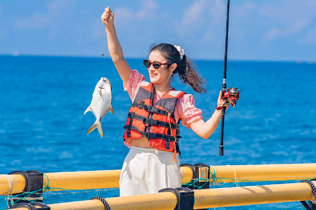 三亚旅游文化发展集团有限公司 三亚旅游文化发展集团有限公司
