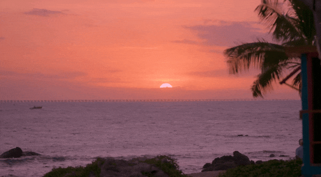 三亚旅游文化发展集团有限公司 三亚旅游文化发展集团有限公司