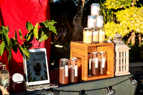 三亚旅游文化发展集团有限公司 三亚旅游文化发展集团有限公司